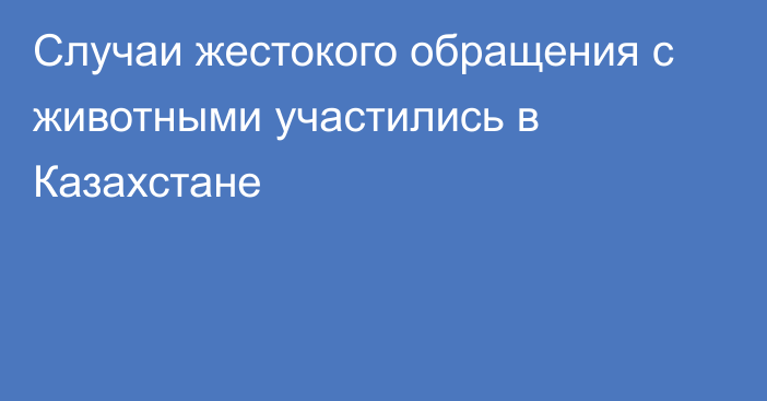 Случаи жестокого обращения с животными участились в Казахстане