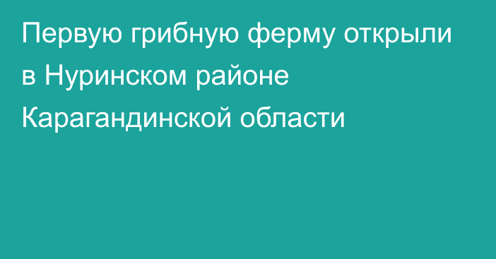 Первую грибную ферму открыли в Нуринском районе Карагандинской области