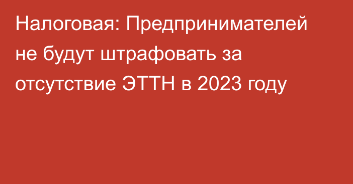 Налоговая: Предпринимателей не будут штрафовать за отсутствие ЭТТН в 2023 году