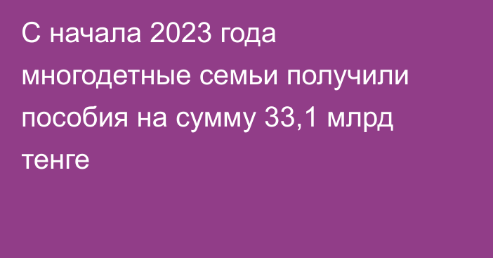 С начала 2023 года многодетные семьи получили пособия на сумму 33,1 млрд тенге