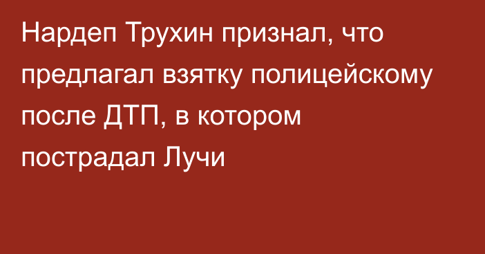 Нардеп Трухин признал, что предлагал взятку полицейскому после ДТП, в котором пострадал Лучи