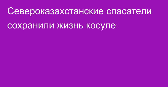 Североказахстанские спасатели сохранили жизнь косуле