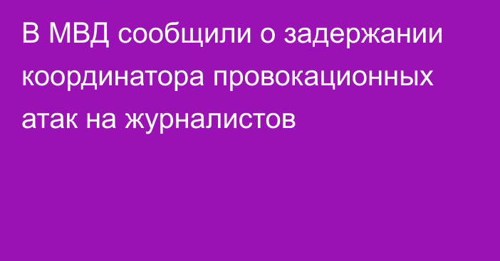 В МВД сообщили о задержании координатора провокационных атак на журналистов