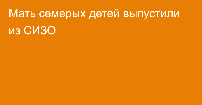 Мать семерых детей выпустили из СИЗО