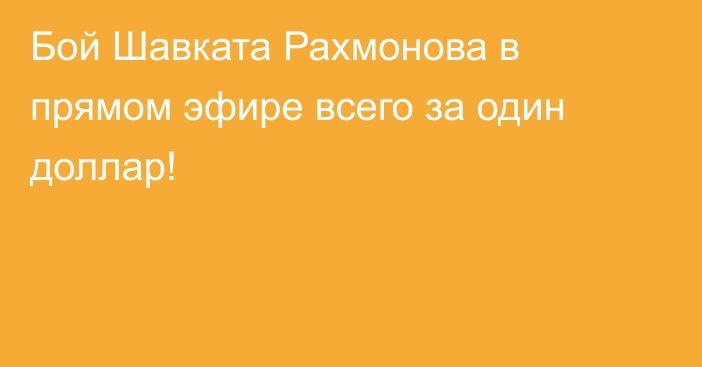 Бой Шавката Рахмонова в прямом эфире всего за один доллар!