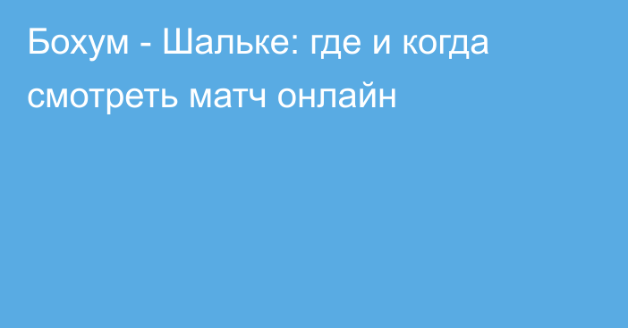 Бохум -  Шальке: где и когда смотреть матч онлайн