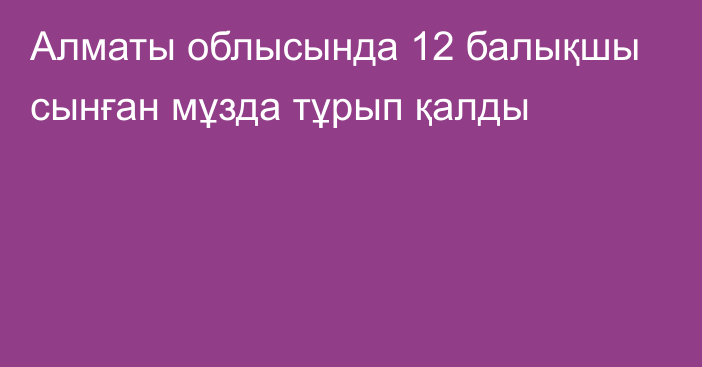 Алматы облысында 12 балықшы сынған мұзда тұрып қалды