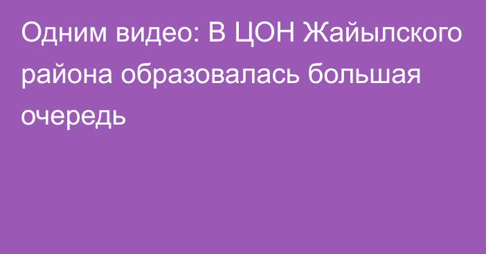 Одним видео: В ЦОН Жайылского района образовалась большая очередь