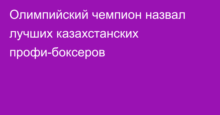 Олимпийский чемпион назвал лучших казахстанских профи-боксеров