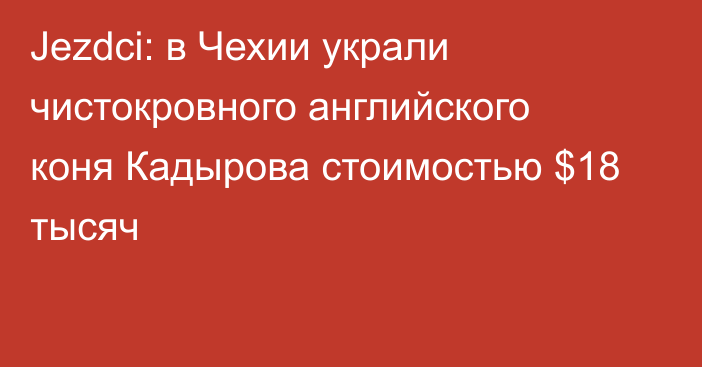 Jezdci: в Чехии украли чистокровного английского коня Кадырова стоимостью $18 тысяч