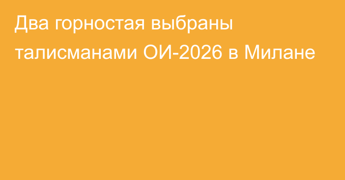 Два горностая выбраны талисманами ОИ-2026 в Милане