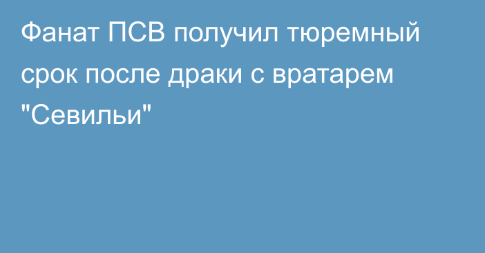 Фанат ПСВ получил тюремный срок после драки с вратарем 