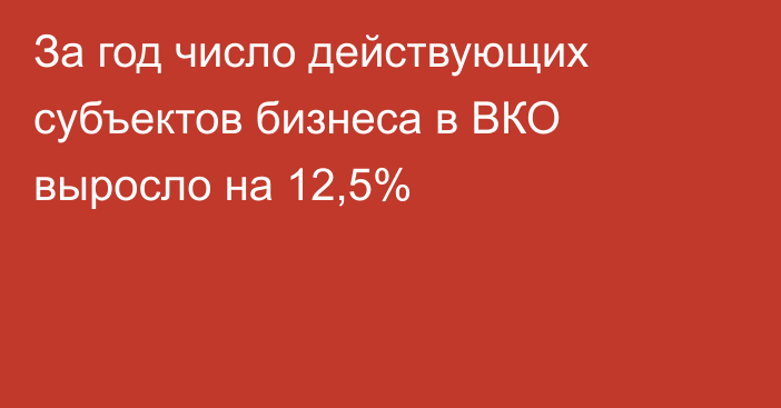 За год число действующих субъектов бизнеса в ВКО выросло на 12,5%