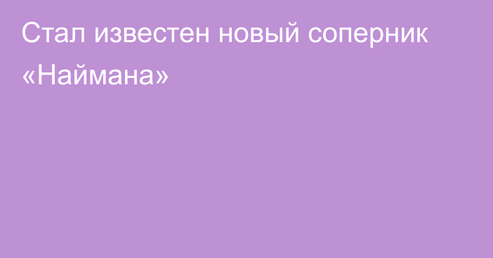 Стал известен новый соперник «Наймана»