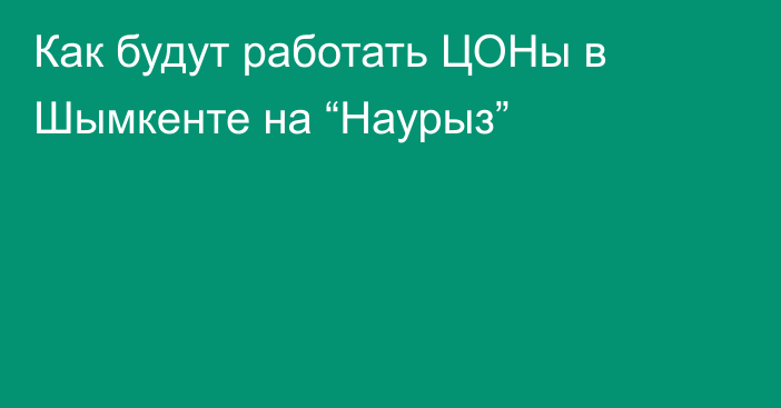 Как будут работать ЦОНы в Шымкенте на “Наурыз”