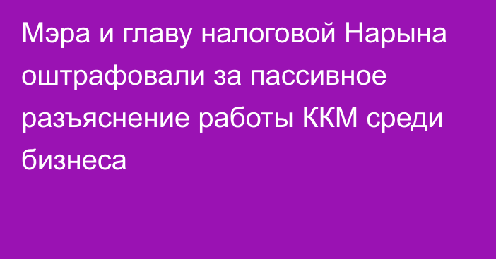 Мэра и главу налоговой Нарына оштрафовали за пассивное разъяснение работы ККМ среди бизнеса