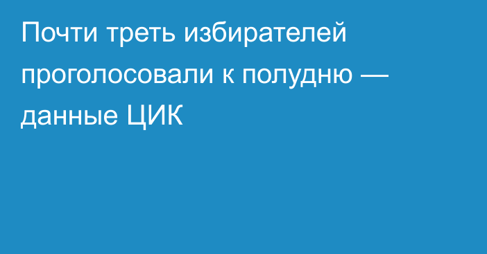 Почти треть избирателей проголосовали к полудню — данные ЦИК