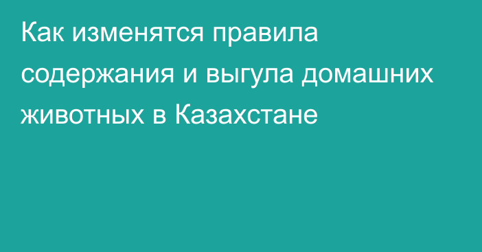 Как изменятся правила содержания и выгула домашних животных в Казахстане