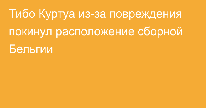 Тибо Куртуа из-за повреждения покинул расположение сборной Бельгии