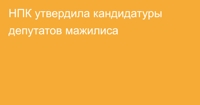 НПК утвердила кандидатуры депутатов мажилиса