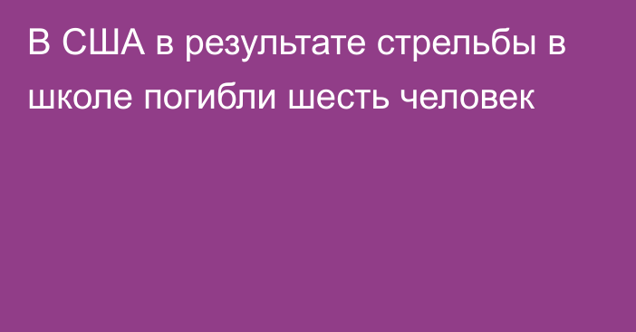 В США в результате стрельбы в школе погибли шесть человек