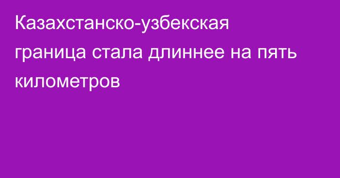 Казахстанско-узбекская граница стала длиннее на пять километров