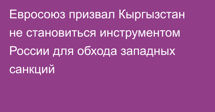 Евросоюз призвал Кыргызстан не становиться инструментом России для обхода западных санкций