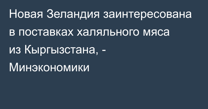 Новая Зеландия заинтересована в поставках халяльного мяса из Кыргызстана, - Минэкономики