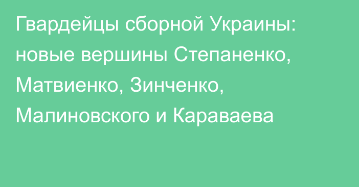 Гвардейцы сборной Украины: новые вершины Степаненко, Матвиенко, Зинченко, Малиновского и Караваева