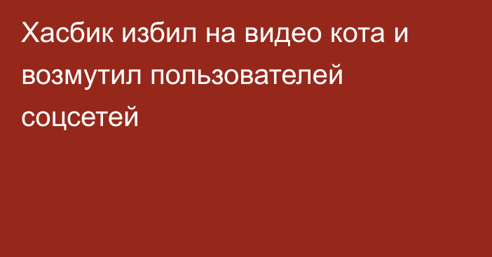 Хасбик избил на видео кота и возмутил пользователей соцсетей