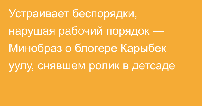 Устраивает беспорядки, нарушая рабочий порядок — Минобраз о блогере Карыбек уулу, снявшем ролик в детсаде