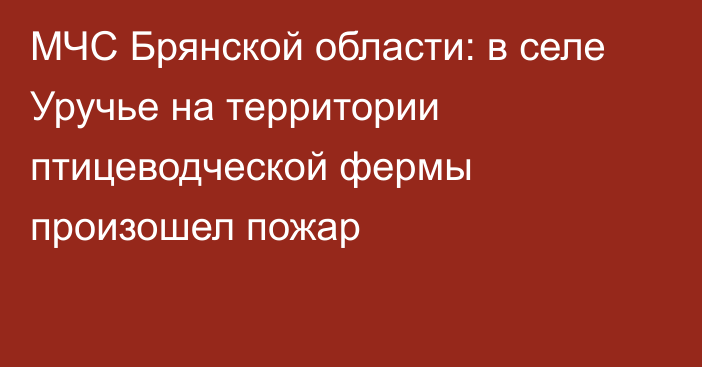 МЧС Брянской области: в селе Уручье на территории птицеводческой фермы произошел пожар