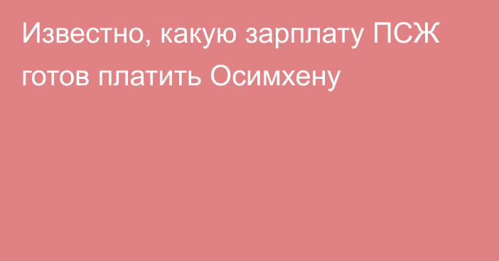 Известно, какую зарплату ПСЖ готов платить Осимхену