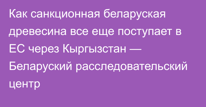 Как санкционная беларуская древесина все еще поступает в ЕС через Кыргызстан — Беларуский расследовательский центр