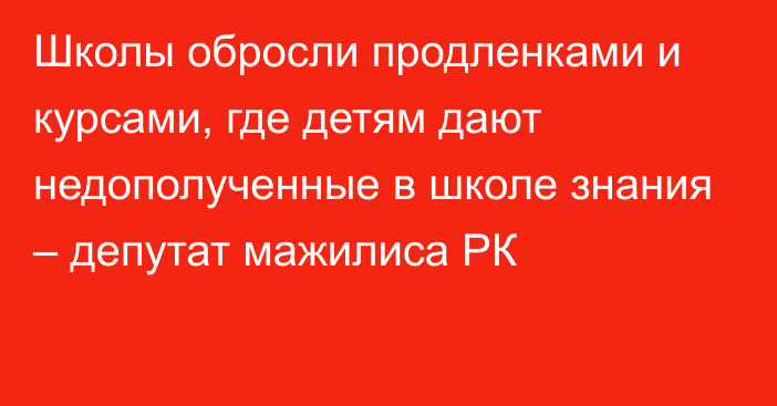 Школы обросли продленками и курсами, где детям дают недополученные в школе знания – депутат мажилиса РК