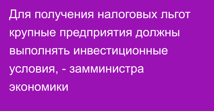 Для получения налоговых льгот крупные предприятия должны выполнять инвестиционные условия, - замминистра экономики