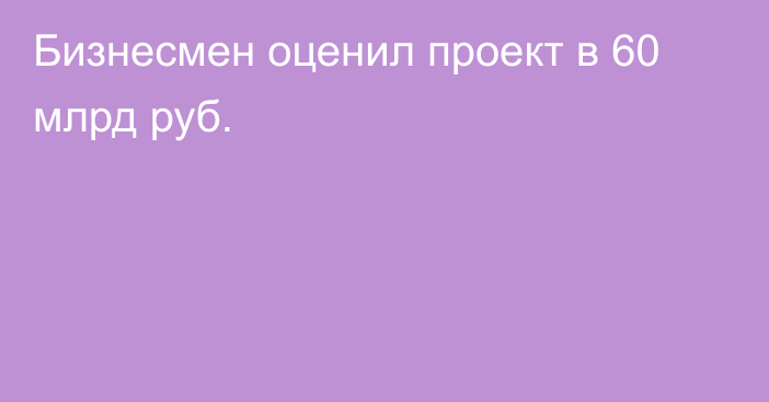 Бизнесмен оценил проект в 60 млрд руб.