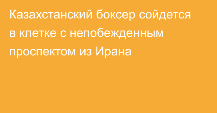 Казахстанский боксер сойдется в клетке с непобежденным проспектом из Ирана