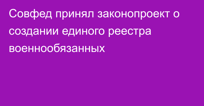 Совфед принял законопроект о создании единого реестра военнообязанных