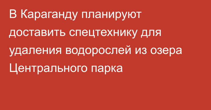 В Караганду планируют доставить спецтехнику для удаления водорослей из озера Центрального парка