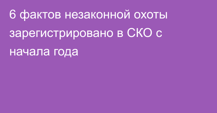 6 фактов незаконной охоты зарегистрировано в СКО с начала года