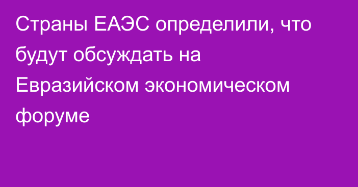 Страны ЕАЭС определили, что будут обсуждать на Евразийском экономическом форуме