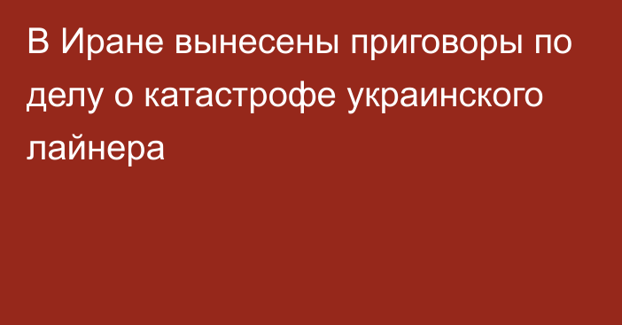 В Иране вынесены приговоры по делу о катастрофе украинского лайнера