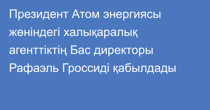 Президент Атом энергиясы жөніндегі халықаралық агенттіктің Бас директоры Рафаэль Гроссиді қабылдады