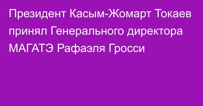 Президент Касым-Жомарт Токаев принял Генерального директора МАГАТЭ Рафаэля Гросси