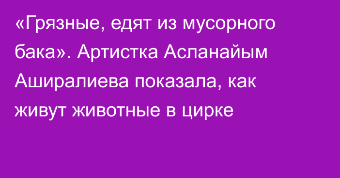 «Грязные, едят из мусорного бака». Артистка Асланайым Аширалиева показала, как живут животные в цирке