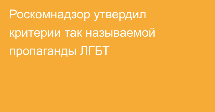 Роскомнадзор утвердил критерии так называемой пропаганды ЛГБТ