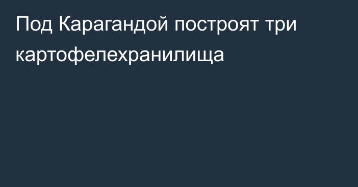 Под Карагандой построят три картофелехранилища