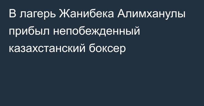 В лагерь Жанибека Алимханулы прибыл непобежденный казахстанский боксер