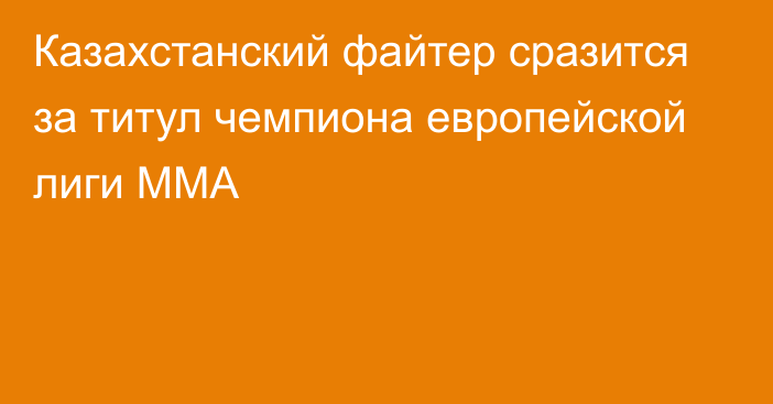 Казахстанский файтер сразится за титул чемпиона европейской лиги MMA